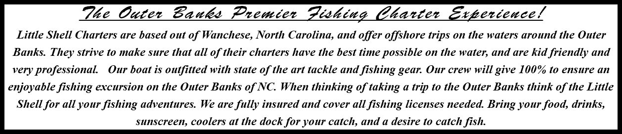The Outer Banks Premier Fishing Charter Experience! Little Shell Charters are based out of Wanchese, North Carolina, and offer offshore trips on the waters around the Outer Banks. They strive to make sure that all of their charters have the best time possible on the water, and are kid friendly and very professional. Our boat is outfitted with state of the art tackle and fishing gear. Our crew will give 100% to ensure an enjoyable fishing excursion on the Outer Banks of NC. When thinking of taking a trip to the Outer Banks think of the Little Shell for all your fishing adventures. We are fully insured and cover all fishing licenses needed. Bring your food, drinks, sunscreen, coolers at the dock for your catch, and a desire to catch fish.